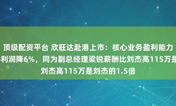 顶级配资平台 欣旺达赴港上市：核心业务盈利能力下滑，扣非净利润降6%，同为副总经理梁锐薪酬比刘杰高115万是刘杰的1.5倍